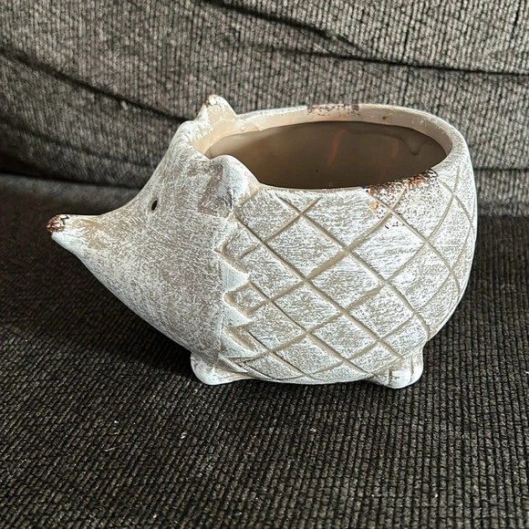 Hedgehog Indoor Ceramic Planter Pot - Picture 4 of 9